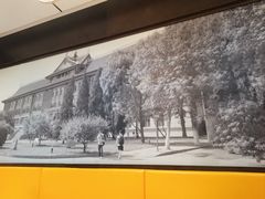 -天津大学·四十二斋餐厅