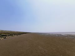 -南汇新城海滩
