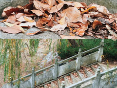-开福禅寺