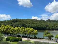 -番禺大夫山森林公园