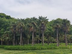 -郑州植物园
