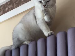 -青春加萌照相馆