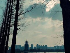 -洋湖国家湿地公园