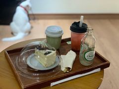 -有猫主题·治愈系猫咖(曾厝垵店)