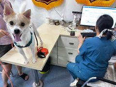 -仁普宠物诊所·中兽医·夜诊·狂犬免疫点(住友昌盛新苑店)