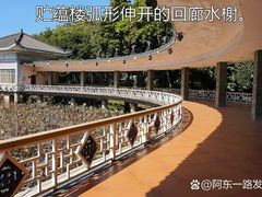 -荔湾湖公园