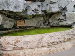 -爱江山温泉(凌奥店)