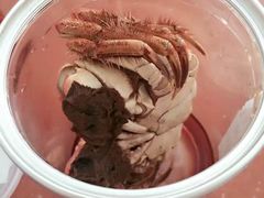 -阳澄湖大闸蟹·琼灵阁牌品牌连锁(吴中总店)