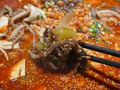 -张翻越·川渝冒菜·武汉黑鸭煲(城北万象城店)