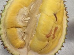 -都念榴莲·城市榴莲