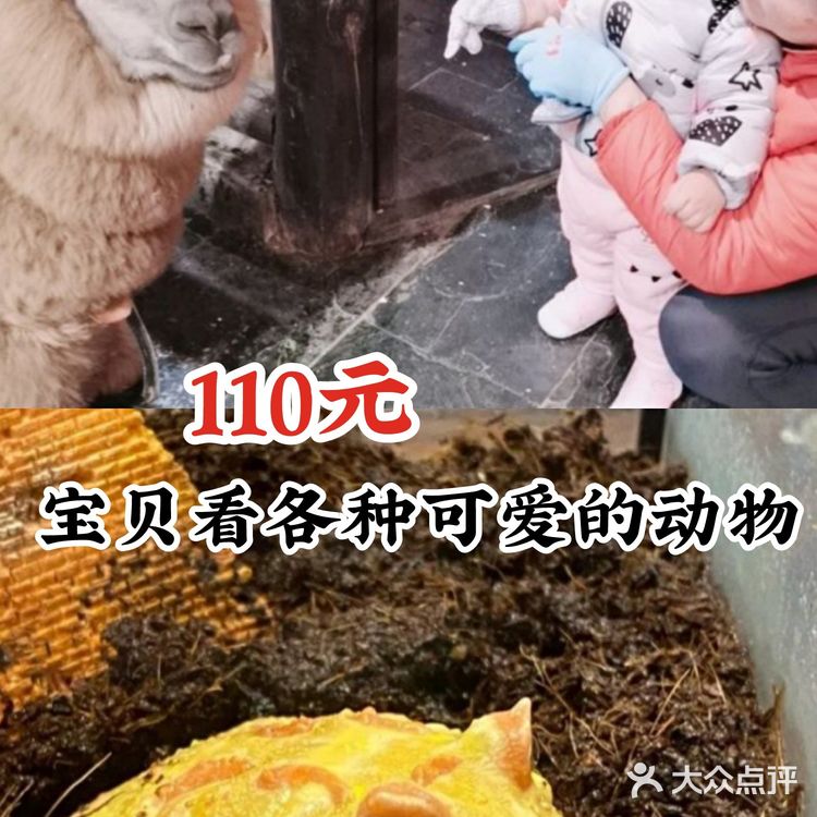 超级棒的萌宠社亲子票只要110元