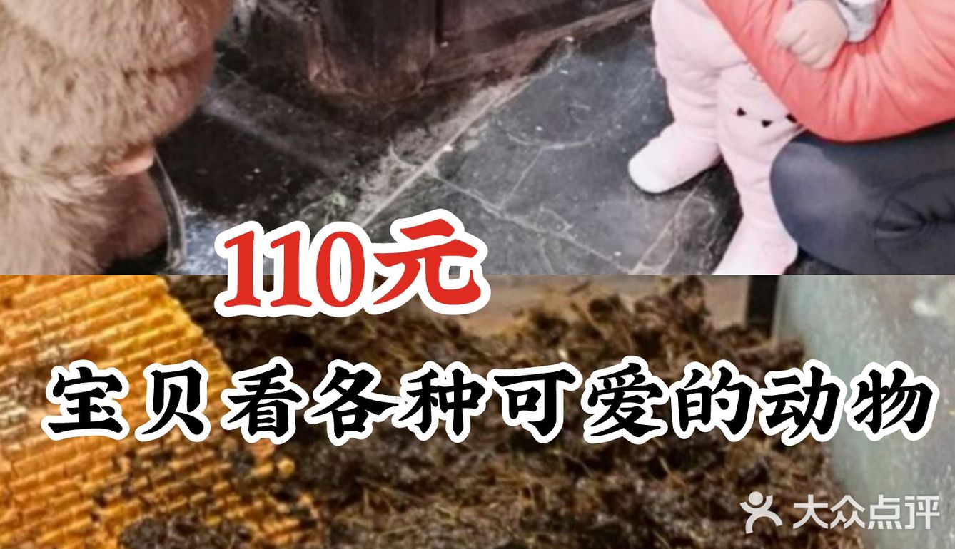 超级棒的萌宠社亲子票只要110元