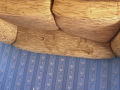 -金山农民画村-枫泾波兰倒置屋