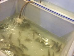 -芭提雅Amporn Seafood自助餐厅