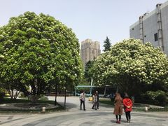 -常州古运河南大街文化旅游区-人民公园