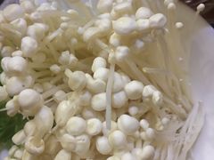 -陈阿婆重庆绿色鱼火锅