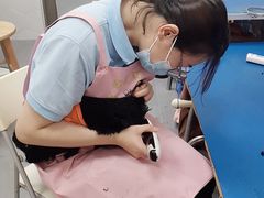 -瑞鹏宠物医院·骨科·猫科·内科(第一中心)