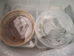 -1937青岛老味道·海肠捞饭·青岛菜(大鲍岛栈桥店)