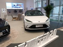 -北汽鹏龙ARCFOX极狐(国贸店)