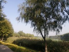 -大兴滨河森林公园