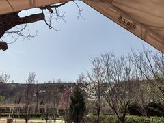 -渭南桃花源民俗文化园