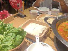 -老凯俚酸汤鱼(多彩城店)
