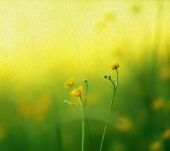 -巴黎时尚婚纱摄影(南汇店)