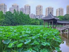 -龙头寺公园