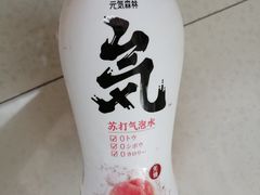 元气森林氦苏打气泡水-津津乐乐