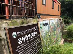 -老界岭旅游度假区