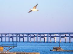 -星海广场
