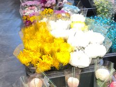 -溪岸路花鸟市场