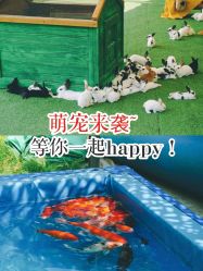 -萌宠亲子动物乐园(槐房万达店)