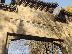 -灵谷景区