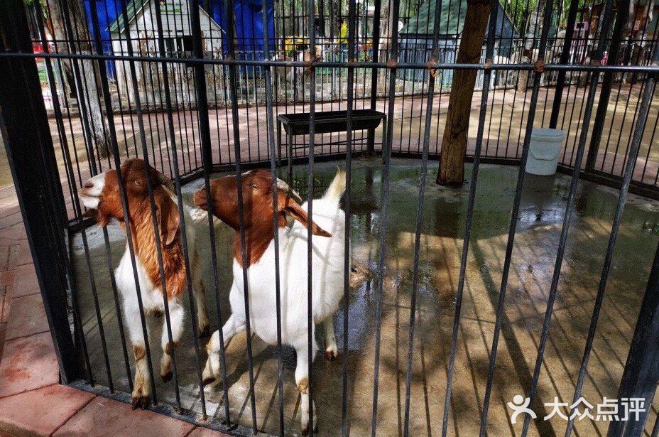 带娃打卡蓝可可亲子乐园，欢乐十足哦