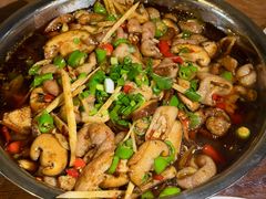 双椒肥肠-食神又名厕所兔