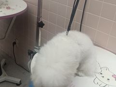 -FAELING PETS美天灵宠物(富力广场店)