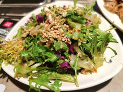 凉拌苦菊-丰茂烤串(金源店)