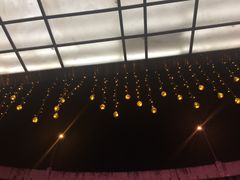 -SFC上影影城(成都科华IMAX店)