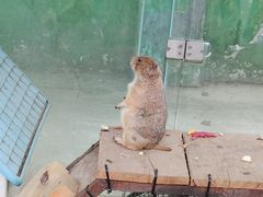-成都动物园