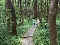 -同里国家湿地公园