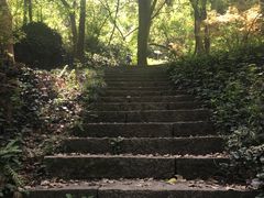-九曜山