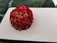 会飞的山楂-青山研究所Aoyama Lab