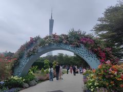 -海心沙亚运公园
