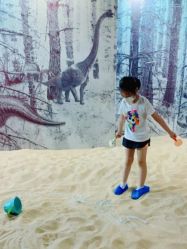 -恐龙探索乐园(磁器口店)