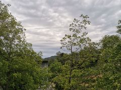 -王顺山国家森林公园