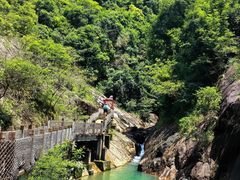 -广州白江湖森林公园