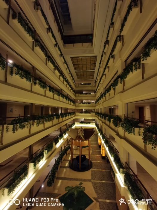 深圳维景酒店图片