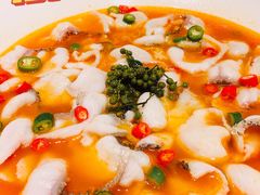 -青花椒花椒鱼(合生汇店)