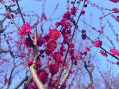 -莘庄公园